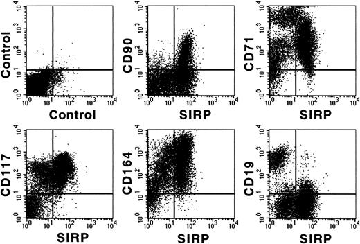 Fig. 4. Coexpression of CD antigens and SIRP on CD34+ BM cells. CD34+ cells were isolated from BM aspirates of healthy donors using MACS separation columns and analyzed by 3-color immunofluorescence. Cells were labeled with CD34-PerCP and MoAb P3C4 (IgG2a), as well as with PE-conjugated MoAbs against CD19, CD71, CD90, CD117, or the nonconjugated CD164-specific MoAb 103B2 (IgG3). After washing, the cells were stained with FITC-conjugated goat anti-mouse IgG2a-specific antiserum and with PE-conjugated IgG3-specific goat anti-mouse antiserum. Immunolabeled cells were analyzed on a FACSCalibur flow cytometer (n = 3).