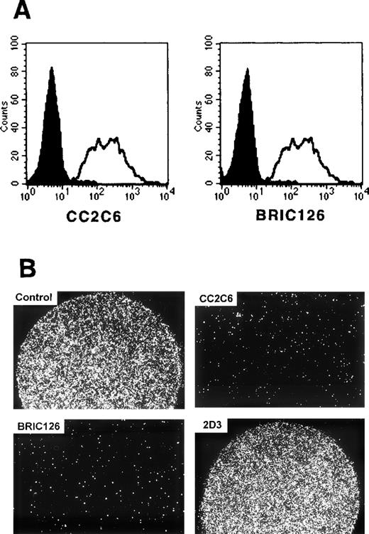 Fig. 8. Inhibition of SIRP1ex binding by CD47-specific MoAbs CC2C6 and BRIC126. (A) CCRF-CEM cells were preincubated with CD47-specific MoAbs CC2C6, and BRIC126 (filled histogram), or a nonbinding control antibody (black line) and then labeled with biotinylated SIRP1ex and stained with SA-PE. Inhibition of SIRP1ex binding to CCRF-CEM was analyzed by flow cytometry (n = 3). (B) CCRF-CEM cells were preincubated with CD47-specific MoAbs CC2C6, BRIC126, 2D3, or a nonbinding control antibody. Adhesion of pretreated CCRF-CEM cells to immobilized SIRP1ex (2 μL of 20 μg/mL solution) was analyzed by microscopy (original magnification × 40) (n = 3).