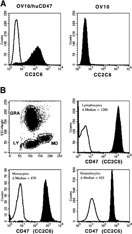 Fig. 9. Reactivity of MoAb CC2C6 with OV10/huCD47 and PB cells. OV10/huCD47 and wild-type OV10 cells (A), as well as mononuclear PB cells (B) were immunolabeled with MoAb CC2C6 or with a nonbinding control antibody, stained with PE-conjugated goat anti-mouse IgG1-specific antiserum, and analyzed by flow cytometry. The reactivity of MoAb CC2C6 on PB cells was analyzed on gated lymphocytes (LY), monocytes (MO), or granulocytes (GRA). The results are presented as the ▵ median fluorescence intensity of the CC2C6 signal (filled histogram) versus the control signal (black line) (n = 3).