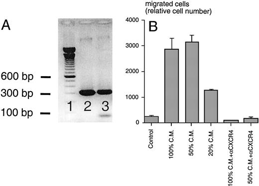 Fig. 5. (A) RT-PCR analysis for murine SDF-1β mRNA. Using cDNA from M2-10B4 cells (lane 3) and plasmid DNA encoding murine SDF-1β as a positive control (lane 2), PCR fragments of the expected size of 296 bp were amplified in both test samples (100-bp marker in lane 1). (B) Chemotaxis of the Reh B-cell line in response to conditioned medium (CM) from M2-10B4 cells. Compared with medium (Control), M2-10B4 CM at different concentrations (100, 50, and 20 vol%) induced chemotaxis of Reh cells. This migration was inhibited by preincubation of Reh cells with 30 μg/mL CXCR4 MoAb. Error bars indicate the range of duplicate samples.