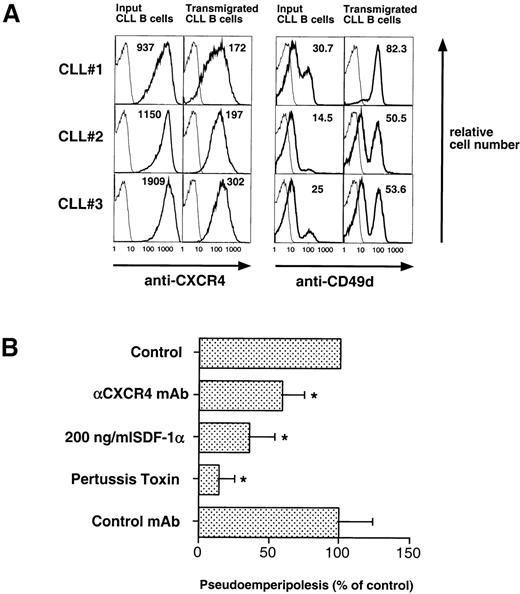 Fig. 8. (A) CLL B cells that migrated into the stromal cell layer have lower CXCR4- and higher CD49d (VLA-4)-surface expression than input CLL B cells. CLL cells from 3 representative patients that migrated into the MSC layer were stained with anti-CD19 and anti-CXCR4 or anti-CD49d MoAbs. An aliquot of the input CLL cells before addition to the assay was stained for comparison. The bold lines represent the staining for the specific MoAb, while the thin lines show the isotype control staining of the respective sample. The numbers indicate the mean fluorescence intensity for CXCR4 or CD49d, respectively. (B) Pseudoemperipolesis of CLL cells was significantly inhibited by anti-CXCR4 MoAb, pretreatment with 200 ng/mL SDF-1, and pertussis toxin, while preincubation with an isotype-matched MoAb to an irrelevant antigen had no inhibitory effect. The bars represent the number of CLL B cells that had migrated into the stromal cell layer after 2 hours (1 × 107 input cells), relative to the nontreated controls (100%) and are the means (±SD) of 6 different CLL patients tested in 3 independent experiments. The stars indicate significant differences with P < .05, using Bonferroni’st-test.