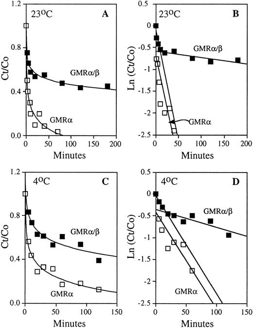 Fig. 3. Dissociation kinetics of the low- and high-affinity GM-CSF receptors. COS cells expressing human low-affinity GMR and HL-60 promyelocytic cells expressing only high-affinity GMR/β were pre-equilibrated with 125I-labeled GM-CSF. The time courses of dissociation of radioactive ligand were determined by addition of 2 μmol/L of competing nonradioactive GM-CSF, as described in the experimental procedures. Representative results obtained at 23°C and 4°C are shown. (A) Time courses of GM-CSF dissociation from low-affinity GMR and high-affinity GMR/β at 23°C. (B) Analyses of dissociation rate constants (see Eq. 4 in Materials and Methods) of the low-affinity (□) and high-affinity (▪) GM-CSF receptors shown in (A); koff (GMR) = 4.74 × 10−2 min−1, loose complex koff (GMR/β) = 5.02 × 10−2min−1, and tight complex koff (GMR/β) = 1.41 × 10−3 min−1. (C) Time courses of GM-CSF dissociation from low-affinity GMR and high-affinity GMR/β at 4°C. (D) Analyses of dissociation rate constants (see Eq. 4 in Materials and Methods) of the low-affinity (□) and high-affinity (▪) GM-CSF receptors shown in (C); koff(GMR) = 2.22 × 10−2 min−1, loose complex koff (GMR/β) = 2.24 × 10−2min−1, and tight complex koff (GMR/β) = 4.09 × 10−3 min−1.