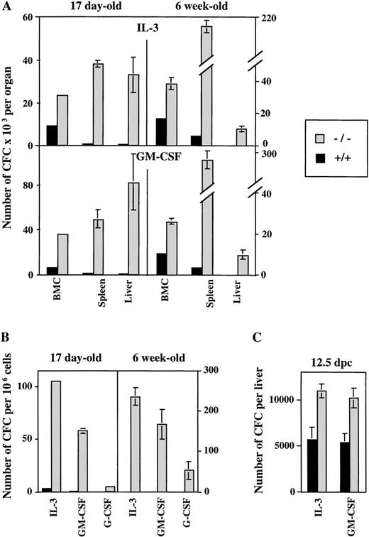 Fig. 1. Increased number of myeloid progenitor cells generated in ICSBP−/− mice in response to IL-3 and GM-CSF in vitro. Single-cell suspensions from hematopoietic organs and peripheral blood from either ICSBP−/− or from wild-type mice were plated in soft agar in the presence of the rmIL-3 (10 ng/mL) and GM-CSF (10 ng/mL). Colonies of more than 50 cells were scored on day 7 postplating. Data shown represent the mean ± standard error of mean (SEM) of colonies counted in 2 independent experiments performed in triplicate with 4 mice per group in each experiment. (A) Bone marrow, spleen, and liver cells at 17 days and 6 weeks of age. (B) Peripheral blood leukocytes of 17-day-old and 6-week-old mice (G-CSF, 100 ng/mL). (C) Fetal liver cells (12.5 dpc).