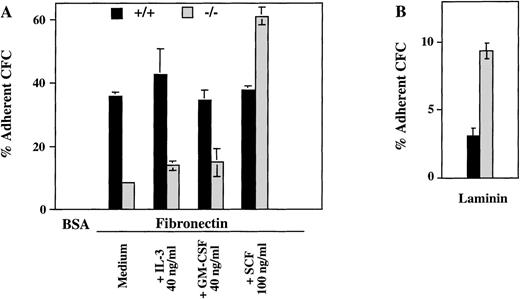 Fig. 5. Hematopoietic progenitors from ICSBP−/−mice display reduced adhesion to fibronectin, but not to laminin. c-kit+–enriched cell fractions were prepared as described in Materials and Methods. The percentage of c-kit+ cells in lineage-depleted fractions was as follows: 92%, 88.5% (ICSBP+/+), and 89%, 81% (ICSBP−/−) in 2 independent sorting experiments, respectively. (A) c-kit+–enriched bone marrow cells from wild-type (black bars) or ICSBP−/− mice (gray bars) were plated on 48-well plates precoated with either fibronectin or BSA in the presence or the absence of the cytokines indicated. Subsequently, adherent, as well as nonadherent fractions, were cultured in the presence of IL-3 (10 ng/mL). Percent adherence was calculated as the number of CFC in the adherent fraction divided by the number of CFC in both fractions × 100% (see Materials and Methods). Data shown represent mean ± SEM of 2 independent experiments. (B) Bone marrow cells from wild-type (black bars) or ICSBP−/− mice (gray bars) were incubated on 48-well plates precoated with laminin (see Materials and Methods). Adherent cells were subjected to CFC assay as described above. Data shown represent mean ± SEM of 2 independent experiments performed in triplicate with 2 mice per group.