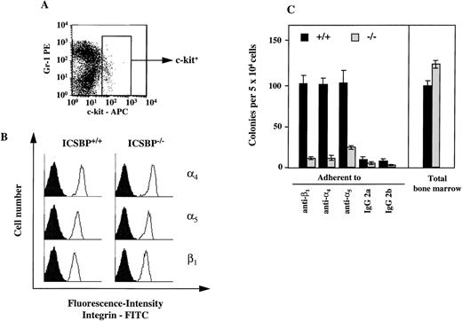 Fig. 6. Expression of 4, 5, and β1-integrins on ICSBP-deficient progenitor cells. (A) Gating of bone marrow cells according to surface expression of c-kit, as measured by FACS. (B) FACS-analysis of 4- (top panel), 5- (middle panel), and β1-integrin (lower panel) expression on c-kit+–gated (see A) bone marrow cells from ICSBP+/+ (left) and ICSBP−/− (right) mice. Filled histograms represent control traces from cells stained only with FITC-labeled secondary Ig. (C) Adhesion of CFCs to immobilized antiintegrin antibodies. Bone marrow cells from wild-type (black bars) or ICSBP−/−mice (gray bars) were incubated in 48-well plates precoated with antibodies to the indicated integrins. Adherent cells were subjected to a CFC assay as described in Materials and Methods and in the legend to Fig 5A. Data shown represent mean ± SEM of 2 independent experiments performed in triplicate with 2 mice per group.