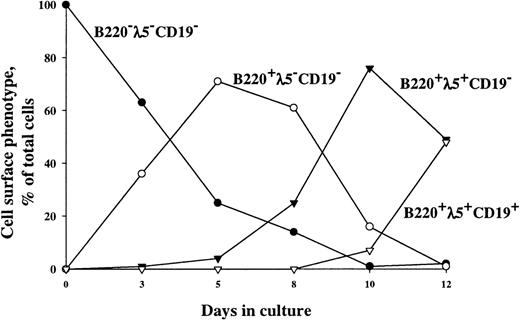 Fig. 1. Timed expression of λ5, B220, and CD19 on Lin−/loSca1+c-kit+ cells cultured in FL + IL-7. Cultures were initiated with Lin−/loSca1+c-kit+ (all hCD25−) cells isolated from transgenic mice expressing hCD25 under control of the λ5-promoter.35 Cells were supplemented with FL + IL-7, and at each indicated time point, cells were analyzed for the coexpression of B220, hCD25(λ5), and CD19 by flow cytometry. One representative experiment of 3 individual experiments is shown. In initial control experiments in which hCD25− and hCD25+ cells were sorted from FL + IL-7–stimulated cultures, endogenous λ5 mRNA was detected by RT-PCR in the hCD25+ fraction, but not in the hCD25− fraction, demonstrating the specificity and sensitivity of hCD25 expression as a marker for λ5 expression (data not shown).