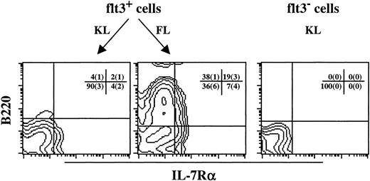 Fig. 7. FL, but not KL, efficiently promotes development of B220+IL-7R+ cells from Lin−/loSca1+c-kit+flt3+progenitors. A total of 2 to 10,000 Lin−/loSca1+c-kit+flt3+(flt3+) and Lin−/loSca1+c-kit+flt3−(flt3−) cells was cultured in serum-depleted medium supplemented with either KL or FL, as depicted in the figure. After 7 to 8 days in culture, cells were counted and evaluated for B220 and IL-7R expression. The figure shows 1 representative experiment of 3 individual experiments, whereas the mean (±SEM) is shown for each quadrant. Flt3− cells cultured in FL did not survive and thus could not be investigated.