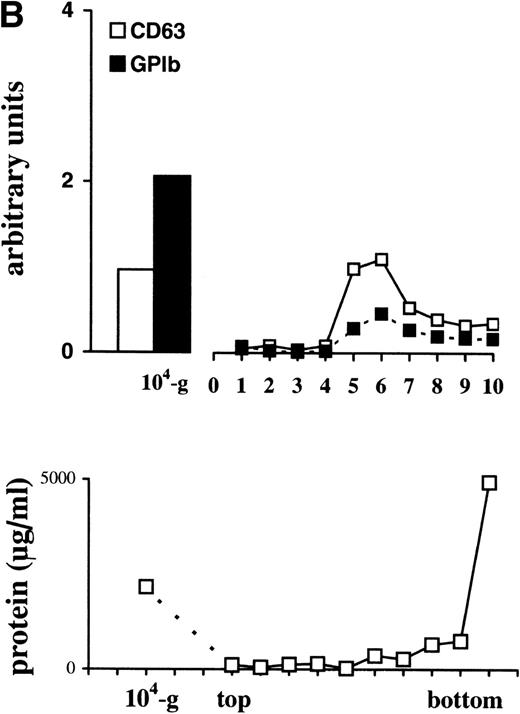 Fig. 3. Detection of CD63 and GPIb in platelet lysate, microvesicles, and exosomes. (A) Platelet releasates were centrifuged at 750g (PLlys) and 10,000g(104-g) after stimulation with 15 μmol/L TRAP. The exosome-enriched fraction was obtained after centrifugation of the supernatant at 65,000g. The membrane pellet was dissolved and then floated into a linear sucrose gradient. Top-bottom gradient fractions were diluted in SDS-sample buffer and analyzed by Western blotting for the presence of GPIb and CD63. (B) Relative distribution of CD63 and GPIb quantified from (A). CD63 is enriched in the fractions 5 and 6 from the sucrose gradient, equilibrating at density ∼1.16 g/mL. The majority of GPIb is recovered in PLlys, and the 104-g fraction and somewhat overlapping in the exosome fraction. PLlys, platelet pellet; 104-g, microvesicle fraction.