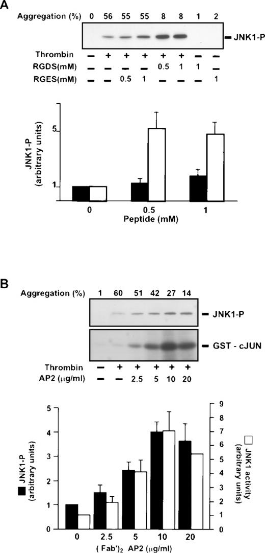 Fig. 2. Effect of inhibition of IIbβ3 engagement on thrombin-induced JNK1 activation. Washed platelets were preincubated at 37°C for 30 seconds in the presence or absence of peptides RGDS and RGES (0.5 mmol/L and 1 mmol/L) (A) or with various concentrations of the (Fab′)2 fragment of the anti-IIbβ3 monoclonal antibody AP-2 (0 to 20 μg/mL) for 5 minutes (B). They were then incubated with 0.2 U/mL with stirring for 2 minutes. JNK1 phosphorylation was studied by Western blotting and JNK1 activity by phosphorylation of GST-cJun, as described in Fig 1. Autoradiographs were scanned with a laser densitometer. For each experiment, the ratio of JNK1-P or GST-cJun was normalized to that of platelets treated with thrombin alone and is expressed as a relative intensity. Results are the means ± SEM for four experiments.