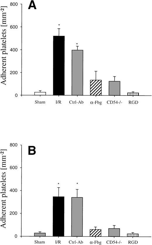 Fig. 1. Platelet adhesion in response to I/R of the small intestine in vivo (ischemia time, 90 minutes). Platelet-endothelial cell interactions were investigated in arterioles (A) and venules (B) using IVM. Platelet adhesion was assessed following I/R, after pretreatment with an antibody directed to fibrinogen (-Fbg), or with control antibody (Ctrl-Ab), as well as in ICAM-1–deficient mice (CD54−/−), or after infusion of GRGDSP peptide (RGD), respectively. Sham-operated animals (Sham) served as controls. The number of adherent platelets is given per mm2 vessel surface. Mean ± SEM, n = 6 experimental animals per group. *P < .01 vsham, Dunn’s method.