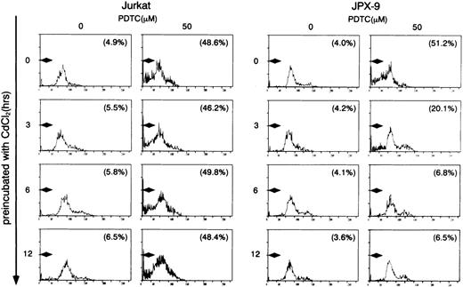 Fig. 2. Induction of apoptosis in Jurkat and JPX-9 cells by PDTC determined by flow cytometry. Jurkat and JPX-9 cells were preincubated with 30 μmol/L of CdCl2 for indicated time intervals, washed with PBS, and further cultured with 50 μmol/L of PDTC for 24 hours. After cultivation, apoptotic cell death was determined by flow cytometry as described in the text. Numbers in parentheses are percentages of cells with hypodiploid DNA. The results are representative examples of 6 similar experiments.