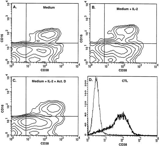 Fig. 2. Expression of CD38 on NK cells and CTLs. Contour diagrams of PBL incubated for 3 days in (A) medium alone, (B) medium containing IL-2, and (C) medium containing IL-2 plus 10 ng/mL actinomycin D. (D) Single-parameter histogram showing CD38 expression on CTLs. In (A) through (C), the NK (CD16+) cells were 95%, 93%, and 99% CD38+, respectively, and the mean CD38 fluorescence intensities on the CD16+CD38+ cells were 147, 134, and 232. In (D), cells were 90% positive for CD3 (not shown) and 80% positive for CD38.