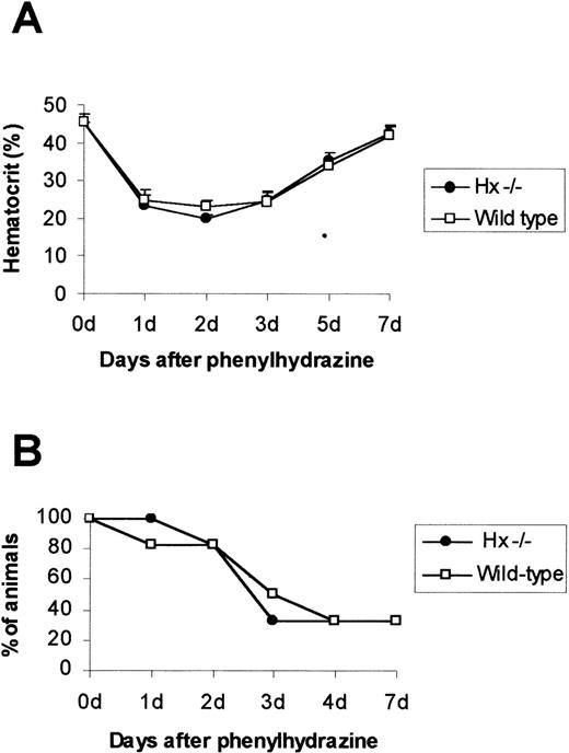 Fig. 2. Effect of phenylhydrazine injection. (A) Mean hematocrit ± SD after a single dose of phenylhydrazine of 0.2 mg /g. A total of 4 mice for each genotype was used. (B) Survival after phenylhydrazine treatment. A single dose of phenylhydrazine of 0.23 mg/g was intraperitoneally injected and mice were monitored for 7 days; 20 animals per genotype were used.