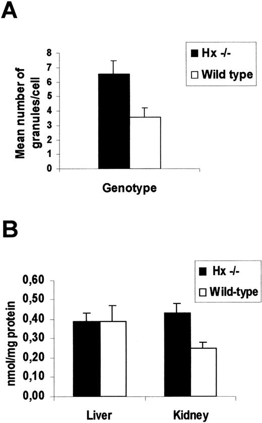 Fig. 5. Analysis of renal damage after injection of 0.2 mg/g of phenylhydrazione. (A) Measurement of iron loading in the kidney of Hx −/− and wild-type mice 7 days after phenylhydrazine treatment. Mean number ± SD of Perls’ positive granules per tubular cell. At least 200 cells for each animal were counted. A total of 6 mice for each genotype was used (P < .001). (B) Lipid peroxidation estimated as MDA levels of tissue homogenates of Hx −/− and wild-type mice 7 days after phenylhydrazine treatment. Data represent mean ± SEM from 5 mice for each genotype (P < .01). Kidney from Hx −/− mice, which consistently shows iron loading, has significantly greater oxidative damage than that from control mice.