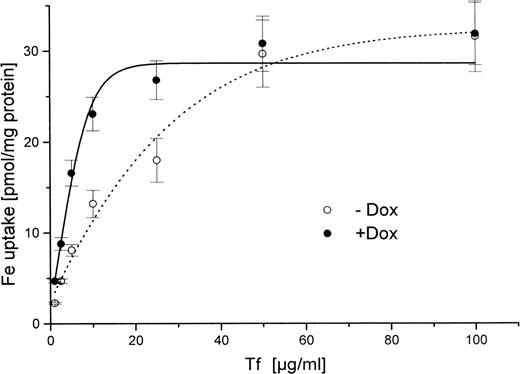 Fig. 3. Concentration-dependent uptake of iron from59Fe-diferric transferrin in HtTA-HFE cells. Cells were grown for 4 days in the presence (•) or absence (○) of 1 μg/mL doxycycline. Uptake of 59Fe from diferric transferrin was determined as outlined in Materials and Methods. Cells were incubated for 30 minutes at 37°C. Transferrin concentrations are indicated. Data are expressed as means of triplicate samples.