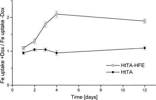 Fig. 4. The regulated iron uptake from transferrin is HFE-expression–dependent. HtTA cells (•) and HtTA-HFE cells (○) were grown in the absence of doxycycline. Cells were divided and either left untreated or doxycycline (1 μg/mL) was added. At different times after onset of doxycycline-mediated HFE repression, iron uptake was examined in doxycycline-treated and untreated cells. Uptake was determined for 30 minutes at 37°C with 5 μg/mL59Fe-diferric transferrin as substrate. The results are given as quotient of uptake rates of doxycyline treated vuntreated cells. All data are derived from triplicate samples.