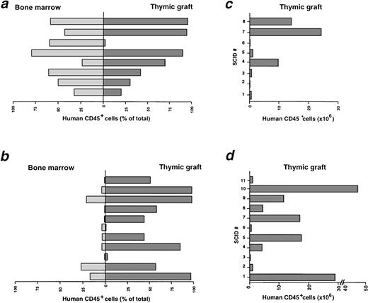 Fig. 1. Engraftment of human CD45+ lymphoid cells in the BM compartment and thymic grafts of CB/Thy-NOD/SCID mice. Each bar represents the proportion (a and b) or absolute numbers (c and d) of human CD45+ cells detected by FACS analysis of cell suspensions from the BM (white bars) or thymic grafts (gray bars) of individual mice at 4 months (a and c) and 6 months (b and d) post-CB reconstitution. Data in (a and c) were generated in 4 different experiments and data in (b and d) in 6 different experiments using different CB donors in each experiment.