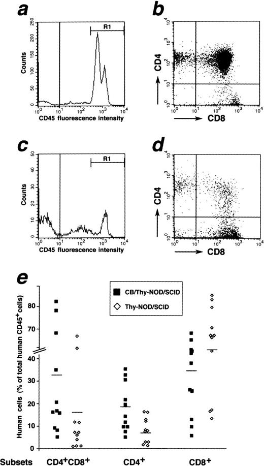Fig. 2. T-cell development in the thymic grafts of NOD/SCID-hu chimeras. Three-color flow cytometric analysis of thymocytes harvested from thymic grafts of a CB/Thy-NOD/SCID at 6 months post-CB reconstitution (a and b) and a control Thy-NOD/SCID mouse (c and d) stained for human CD45, CD4, and CD8. The staining specific for CD45 (a and c) identifies a population of human CD45+ lymphoid cells (Region 1, R1). Gating on R1 shows that human CD45+ cells from the grafts of CB/Thy-NOD/SCIDs comprise both CD4/CD8 double- and single-positive subsets (b), whereas human CD45+ cells from Thy-NOD/SCID mice harbor mainly CD4 and CD8 single-positive thymocytes (d). The vertical lines within the histograms (a and c) mark the upper limit of the fluorescence intensity corresponding to the isotype-control antibody. In the dot plots (b and d), quadrants were set to comprise the staining given by control antibodies in the left lower quadrant. Histograms and dot plots represent the analysis of 10,000 events. (e) Distribution of human thymic subsets in the grafts of individual CB/Thy-NOD/SCID (▪) and Thy-NOD/SCIDs (◊) at 6 months post-CB reconstitution. Horizontal lines in each column mark mean values. Thymocytes from CB/Thy-NOD/SCID mice comprise a significantly higher percentage of CD4 single-positive cells than thymocytes from Thy-NOD/SCID (%CD4+ = 17.9 ± 3.3 v 6.8 ± 1.6, mean ± SEM, P < .01).