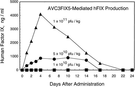 Fig. 1. Human factor IX in rhesus plasma after administration of AVC3FIX5 vector (normal human factor IX plasma level, 5,000 ng/mL). Each point is the average of ELISA results performed in duplicate. (▪) Low-dose; (•) intermediate-dose; (▴) high-dose.