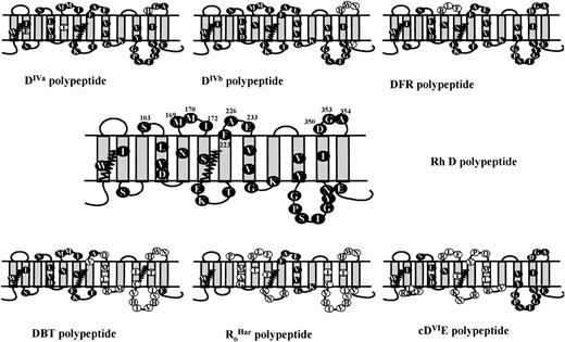 Fig. 3. Membrane topology of some variant D proteins associated with partial D phenotypes. The serological reactivity of the mutant K562 cell lines was compared with that of some naturally occurring partial D phenotype red cells. These phenotypes are predominantly associated with hybrid Rh proteins. The predicted structures of these hybrids are depicted: RHCE-derived amino acids are shown as open circles, whereas RHD-derived amino acids as shown as solid circles. The molecular bases of the different partial D phenotypes shown have been described previously: DIVa; DIVb and DFR24; DBT20; RoHar19; and cDVIE.17