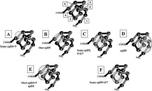 Fig. 4. Predicted localization of different D epitope clusters and hypothetical model of loop-loop interactions of the Rh D polypeptide. Based on the serological reaction of the different mutant K562 lines, a model for the loop-loop interactions that govern D epitope expression is presented. The model is a plan view of an Rh D protein monomer in which each membrane-spanning segment is represented by a circle (numbered 1 through 12) and each externalized loop as a cross-hatched line (numbered 1 through 6). Cytoplasmic-localized loops are represented as black lines. Each external loop is positioned such that adjacent membrane-spanning segments may interact, altering the confirmation and expression of D epitopes (see Discussion). The model considers that each epitope cluster is no more than 25 Å in diameter, based on the fact that an antibody paratope is of this dimension. It could be anticipated that the diameter of an Rh D protein monomer is greater than 50 Å if compared with the determined dimensions of 2 other erythrocyte membrane proteins aquaporin 13031 and the anion transport protein.32 The locations of the predicted 6 Rh D epitope clusters are indicated by letters A through F, and the D epitopes expressed by each cluster (1-9 model) is indicated by each panel. (A) Loop 6-dependent epitopes require only anRHD loop 6 for antibody binding. (B) Loop 4+6-dependent epitopes require amino acids located on both these loops. (C) Loop 3, 4, and 6-dependent epitopes have contact points with all 3 of theseRHD-specific loops. (D) Loop 1, 2, 3, and 5-dependent epitopes have a relatively large contact area and are not expressed on partial D proteins with mutations in the Rh CcEe/D common loops 1, 2, and 5 (DMH, DVII, and DHMi, respectively). Contact with loop 3RHD-specific residues gives the antibodies anti-D specificity, because partial D phenotypes with mutations in this loop lack epD8 (DFR and DOL). (E) Loop 6-dependent epitopes. These epitopes requireRHD-specific cytoplasmic/transmembrane residues to stabilize their configuration. (F) Loop 3+4- and loop 3 or 4-dependent epitopes. This group includes antibodies that require RHDresidues on both loops 3 and 4 and also those antibodies that can bind to both RoHar and DBT red blood cells.