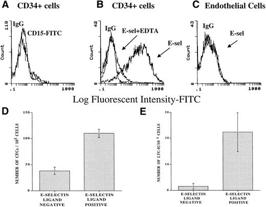 Fig. 2. Chimeric E-selectin–IgG2a binds to subsets of CD34+ cells. Soluble E-selectin–IgG2a chimera was used to quantify the number of ESL-expressing CD34+immediately after purification from CB. Using FACS analysis, 75% ± 5% of CD34+ cells bind to E-selectin–IgG2a chimeric molecule (B) (N = 3). The binding of E-selectin/IgG2a was dependent on divalent cations and was inhibited in the presence of 2 mmol/L EDTA (B). Endothelial cells that do not express FucT-VII showed no binding to the soluble E-selectin–IgG chimera (C). Freshly isolated CD34+ cells do not express CD15 (A). Agarose and LTC-IC assays performed on CD34+ cells bound to soluble E-selectin chimera showed a 2.09 ± 0.58-fold higher progenitor (D) and 14.9- ± 10.7-fold higher LTC-IC content than the population that did not bind to soluble E-selectin chimera (E). The CD34+cells that failed to bind to E-selectin were virtually devoid of CD34+ cells with LTC-IC potential (E) (N = 3, P< .05).