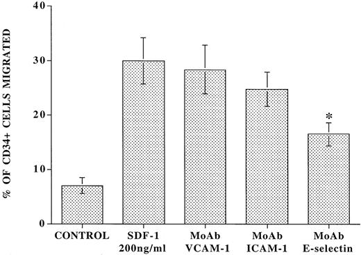 Fig. 4. Blocking MoAb to E-selectin inhibits SDF-1–induced transmigration of CD34+ cells through IL-1β–activated endothelial cells. Freshly isolated CD34+ cells (105 cells) from CB were placed in the upper chamber of 5-μm transwell plates coated with confluent monolayers of IL-1β–stimulated intact BMEC monolayers in the presence or absence of 10 μg/mL blocking MoAb to E-selectin. Immediately, 200 ng/mL of SDF-1 was placed in the lower chamber and the number of migrated cells was evaluated by flow cytometry. After a period of 24 hours, in the absence of SDF-1, there was migration of only 7.0% ± 1.4% of the added CD34+ cells to the upper chamber. In the presence of 200 ng/mL SDF-1, there was migration of an additional 23.0% ± 4.4% of the added CD34+ cells. In the presence of blocking MoAb to E-selectin (10 μg/mL), there was a 42.0% ± 2.5% inhibition of the SDF-1–induced migration of CD34+ cells (N = 4, P < .003). Blocking MoAb to VCAM-1 and ICAM-1 did not significantly influence the SDF-1–induced migration process.
