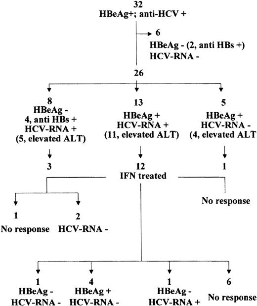 Fig. 4. Follow-up events and effect of IFN treatment in HBV-HCV–infected patients.