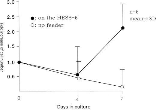 Fig. 2. Cell kinetics in stroma-free and stromal culture system. Lin−CD34− cells were plated onto pre-established irradiated HESS-5 stromal cells or no stroma cells in medium containing 10% FCS and human cytokines: TPO, FL, SCF, G-CSF, IL-3, and IL-6. The cell number was determined on days 4 and 7.