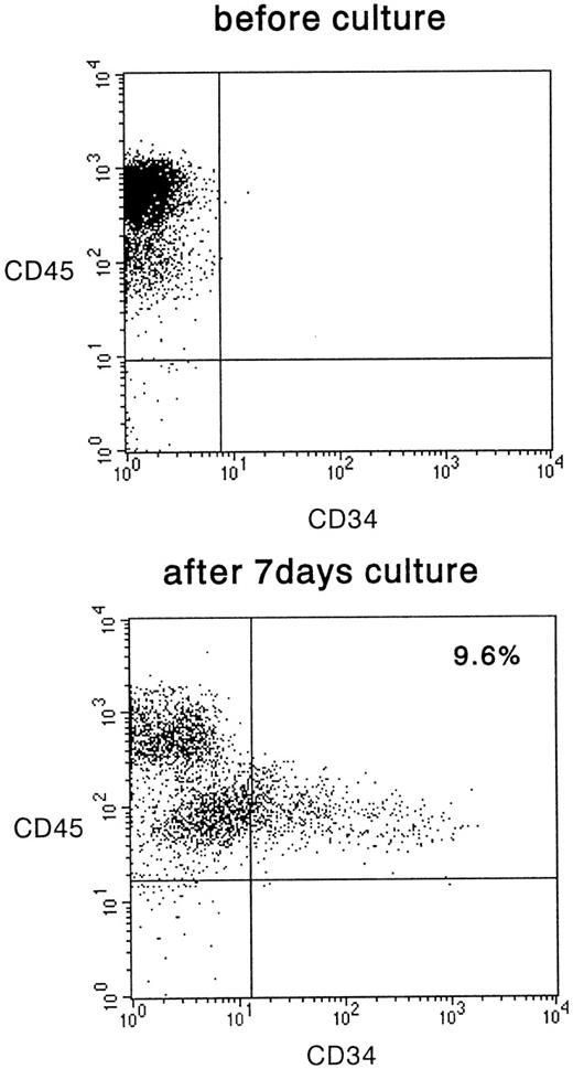 Fig. 3. FACS analysis of CD34− cells after 7 days of culture on irradiated HESS-5 stroma cells. The cells were evaluated for their expression of CD34 and CD45. The percentage of CD34+ cells is indicated in the upper right of the panel.