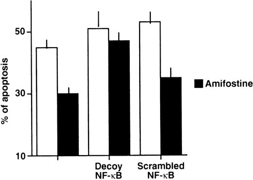 Fig. 3. Impairment of the amifostine antiapoptotic effect in 32D cells by the κB decoy oligonucleotide. 32D cells (2 × 105/mL) were incubated without WEHI-3 CM and with or without amifostine (100 μg/mL), 7.5 μmol/L κB decoy, or scrambled oligodeoxynucleotide for 18 hours. Cell apoptosis was then analyzed by propidium iodide incorporation in cell DNA. The results represent the means ± SE of 4 separate experiments. In cells incubated with WEHI-3 CM, either with or without amifostine and/or oligonucleotides, apoptosis was less than 4%.
