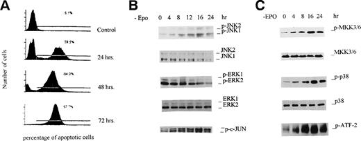 Fig. 1. Withdrawal of EPO produces activation of JNKs and p38 MAP kinase preceding apoptosis of HCD-57 cells. HCD-57 cells (2 × 107/mL) were incubated in EPO-free medium for the indicated periods of time and then either were labeled with fluorescein-dUTP for flow cytometry analyses (A) or were lysed in buffer A for JNK and p38 MAPK activation assays (B and C) as described in Materials and Methods. (A) Flow cytometry analyses of apoptotic HCD-57 cells. The left peak represents normal growing cells, whereas the right peak corresponds to apoptotic cells, and the percentage of cells that undergo apoptosis is indicated. (B and C; top 4 panels) Cell extracts (20 μg) were resolved on 10% SDS-PAGE, transferred to PVDF membranes, and probed with phospho-specific and regular antibodies against ERK1/2, JNK1/2, p38 MAPK, and MKK3/6 as indicated. (B and C; bottom panels) Cell extracts (containing 250 μg of total proteins) were incubated with an N-terminal c-Jun (1-89) fusion protein bound to glutathione Sepharose beads for JNK kinase activity assay or with anti-p38 MAP kinase antibody for p38 MAPK activity assays with ATF-2 as a substrate. Phosphorylation of c-Jun and ATF-2 was determined by Western blotting with the phospho-specific c-Jun antibody and 32P autoradiography, respectively.