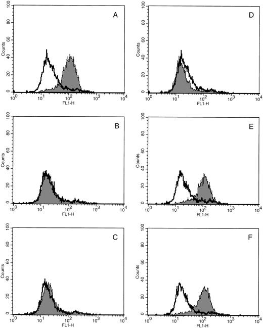 Fig. 1. Soluble fibrinogen binding to cultured MKs is specific for GPIIb-IIIa. In each experiment, cultured cells were incubated with PE-GPIb antibody and FITC-FGN in the presence (shaded histograms) and absence (unshaded histograms) of TRAP and with or without the indicated blocking antibody. FITC fluorescence (FL1) histograms were generated from the MK population. (A) No blocking antibody. (B) KGD heptapeptide (Integrilin). (C) RGDS peptide. (D) 10E5 antibody. (E) LM609 antibody. (F) Nonspecific mouse monoclonal IgG. Data are representative of 3 experiments performed.