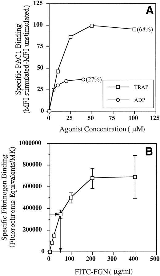 Fig. 2. Binding kinetics of activated GPIIb-IIIa receptors on cultured MKs. Cultured cells were incubated with PE-GPIb antibody and FITC-PAC1 or FITC-FGN in the presence and absence of TRAP or ADP. MFI was determined from MK fluorescence histograms. The percentage of PAC1-positive MKs is shown in parentheses. Fluorochrome equivalents were determined from the MFI as described in Materials and Methods. (A) Effect of agonist concentration on PAC1 binding. Data are representative of 2 experiments performed. (B) Fibrinogen binding kinetics. Arrows indicate fibrinogen concentration at which binding was half maximal (Kd). Data are the mean ± SEM of 3 experiments.