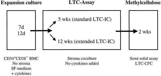 Fig. 4. Experimental design of ex vivo expansion of LTC-IC and ELTC-IC. CD34+CD38− BM cells (BMC; maximum 1,000 cells/mL) were cultured in SF medium supplemented with cytokines. After 7 or 12 days of expansion culture, cells were counted and transferred to either 5- or 12-week LTC. At the end of the 5 or 12 weeks of stroma coculture (no cytokines added), LTC-IC–derived CFC (LTC-CFC) were detected in a CFC assay.