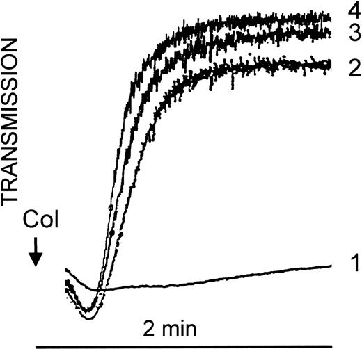 Fig. 8. Platelet aggregation of a Sita (+) donor (B.III.3; curves 1 and 3) and a Sita (−) individual (B.III.2; curves 2 and 4) after stimulation with 2.5 μg/mL collagen (curves 1 and 2) or 10 μg/mL collagen (curves 3 and 4).