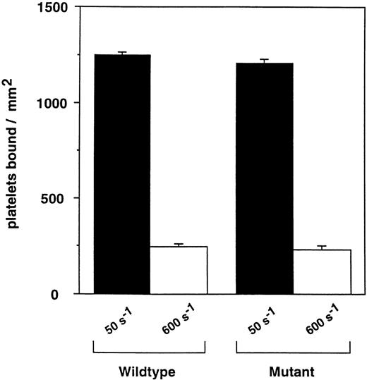 Fig. 5. Accumulation of platelets on immobilized monomeric murine vWF-A1 during flow. Washed murine platelets were infused through recombinant vWF-A1–coated microslides at a shear rate of 50 or 600 s−1. After 5 minutes of continuous flow, adherent platelets were counted in 4 different fields of view. Data are averaged from 2 experiments performed. Error bars represent the standard deviation.