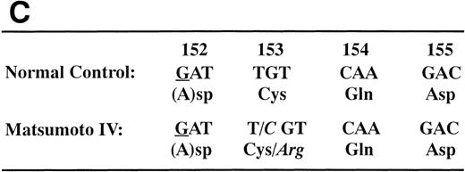 Fig. 1. Nucleotide sequence of the fibrinogen γ-chain gene exon VI. The PCR-amplified γ-chain genes of the normal control (A) and the propositus (B) were directly sequenced by dideoxy termination method using the reverse primer. The nucleotide position 2900, indicated by the arrow in (B), of the propositus' gene was heterozygous for A and G. This nucleotide substitution changed the γ153Cys→Arg as shown in (C). The underlined nucleotide is located in the intron region.