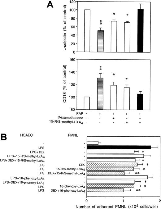 Fig. 10. Cooperative actions of dexamethasone and LXA4 analogs. (A) Human whole blood aliquots were incubated with 100 nmol/L dexamethasone for 120 minutes in the presence of 15-R/S-methyl-LXA4 (5 μmol/L) for the last 30 minutes of incubation, as indicated, and then challenged with 1 μmol/L PAF for 30 minutes at 37°C. Adhesion molecule expression is presented as the percentage of control. Mean fluorescence intensity for L-selectin: control, 37 ± 3; PAF, 26 ± 4; CD18: control, 61 ± 4; PAF, 73 ± 7; n = 5; both P < .05. *P < .05; **P < .01 v control (untreated). L-selectin and CD18 expression on dexamethasone plus 15-R/S-methyl-LXA4–treated cells did not differ significantly from those of control. (B) Confluent HCAEC monolayers were cultured for 6 hours with LPS (1 μg/mL) in the presence of dexamethasone (DEX; 100 nmol/L), 15-R/S-methyl-LXA4, or 16-phenoxy-LXA4 (5 μmol/L). Neutrophils pretreated with dexa- methasone and/or LXA4 analogs as described for whole blood were added to activated HCAEC and then challenged with PAF (1 μmol/L). The results are expressed as the mean ± SEM of 5 experiments using neutrophils from different donors. *P < .05 vLPS-treated.