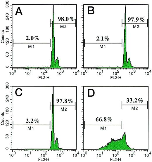 Fig. 2. FACS analysis of apoptotic HUVEC, ie, cells with subdiploid DNA weakly stained with fluorescent propidium iodide18 (M1 region), in comparison with nonapoptotic HUVEC, ie, strongly stained cells with diploid DNA (M2 region). HUVEC were cultured in (A) complete medium supplemented with VBL 0.25 pmol/L or (B) 1 pmol/L; (C) the medium alone (negative control), or (D) supplemented with dexamethasone 1 mmol/L, an apoptogenic drug19 (positive control). Treatments on days 0 and 2, analysis on day 4. FL2-H = axis of relative fluorescence intensity. One representative experiment out of four.