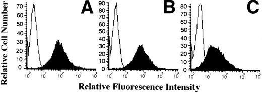 Fig. 2. Effect of IL-15 on infection of NK-depleted PBMC by HHV-6. PHA-activated NK-depleted PBMC were infected with HHV-6 and cultured in the absence (A) or presence of 10 ng/mL (B) or 50 ng/mL (C) rIL-15. HHV-6 antigen expression and HHV-6 DNA content (D) were determined as described in Materials and Methods and as in the legend to Fig 1.