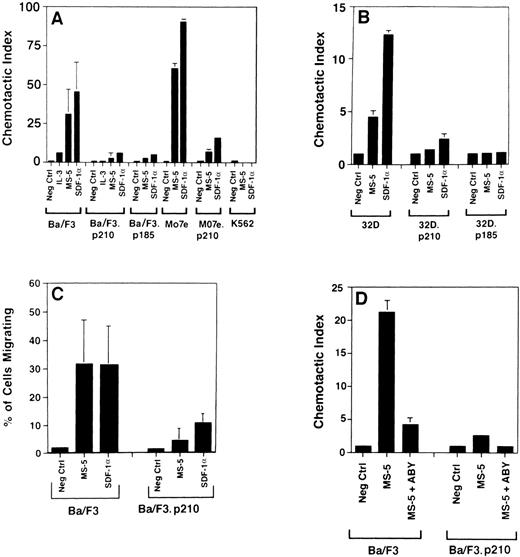 Fig. 4. Chemotaxis of murine and human cell lines to SDF-1 and MS-5 supernatant. Several cell lines were tested for their ability to migrate in transwell assays in response to SDF-1 (100 ng/mL) and MS-5 supernatant (undiluted). The number of cells that migrated to SDF-1 or MS-5 was divided by the number of background cells (cells that migrated to medium alone) to determine the chemotactic index, for panels A, B, and D. In panel C, the percentage of migrating cells is shown for comparison. In some columns, the standard deviations were too small to be visualized. Similarly, the chemotactic index of transformed K562 cells migrating to MS-5 supernatant and SDF-1 was below 1.0. Standard er- ror bars for the cell lines Ba/F3.p185BCR/ABL, Mo7e, Mo7e.p210BCR/ABL, K562, 32D.p210BCR/ABL, and 32D.p185BCR/ABL are calculated from triplicate values in single migration experiments, whereas the error bars for Ba/F3 and Ba/F3.p210BCR/ABL cells were calculated from data obtained in 6 and 4 migration experiments, respectively. In panel C, Ba/F3 cells transformed with p210 were tested and data from 4 migration experiments (2 per cell line) were pooled.