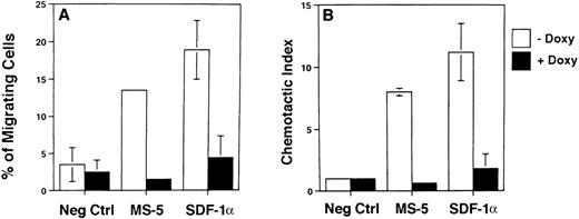 Fig. 5. Doxycycline-induced expression of BCR/ABL in TonB210.1 cells impairs chemotaxis to SDF-1. The Ba/F3 cell line, TonB210.1, which expresses BCR/ABL in the presence of doxycycline, was tested (n = 4) for a chemotactic response to medium alone (Neg Ctrl), MS-5 supernatant, and SDF-1 (100 ng/mL) using a transwell assay system. The open bars represent control cells (minus doxycycline) and solid bars represent doxycycline-treated cells. Panel A shows the percentage of migrating cells and panel B shows the chemotactic index.
