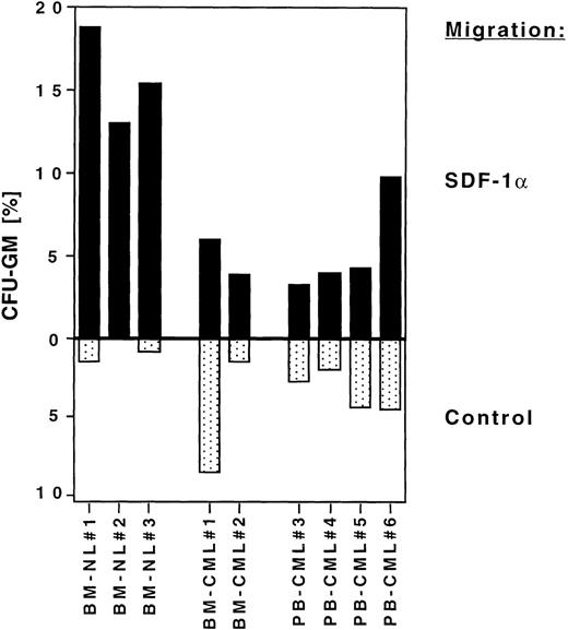 Fig. 7. SDF-1 responsiveness, measured by CFU-GM, is reduced in CML patient samples. Chemotaxis assays were performed with mononuclear cells isolated from normal BM, BM from CML patients, and from peripheral blood samples from CML patients. CFU-GM are plotted as: (total number of colonies and clusters obtained with the migratory population)/(the number of colonies and clusters obtained with the input population) × 100 (see Materials and Methods). The stippled and solid bars represent CFU-GM formed by cells migrating to UltraCULTURE alone (control) or to 100 ng/mL of SDF-1, respectively.