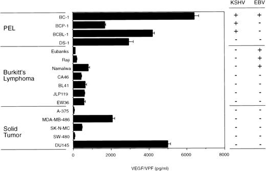 Fig. 1. VEGF/VPF production by PEL, Burkitt's lymphoma, and solid tumor cells. PEL cells, Burkitt's lymphoma cells, and solid tumor-derived cell lines were cultured (1 × 106cells/well) for 72 hours in 6-well plates (2.5 mL/well). A-375, melanoma; MDA-MB-486, breast cancer; SK-N-MC, neuroblastoma; SW-480, colon carcinoma; DU145, prostate carcinoma. VEGF/VPF levels in the culture supernatants were determined by ELISA. Results represent the mean (±SD) of 3 independent experiments.