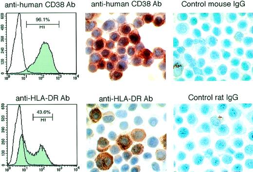 Fig. 4. Expression of human CD38 and HLA-DR in lymphoid cells from the ascites fluid of SCID/beige mice inoculated IP with BCBL-1 cells. (Left panels) FACS analysis of CD-38 and HLA-DR expression by BCBL-1 cells cultured in vitro. (Middle panels) Immunohistochemical staining for human CD-38 and HLA-DR of cytospin preparations from ascites of mice injected IP with BCBL-1 cells. (Right panels) Control staining with mouse IgG and rat IgG of cytospin preparations from ascites of mice injected IP with BCBL-1 cells.
