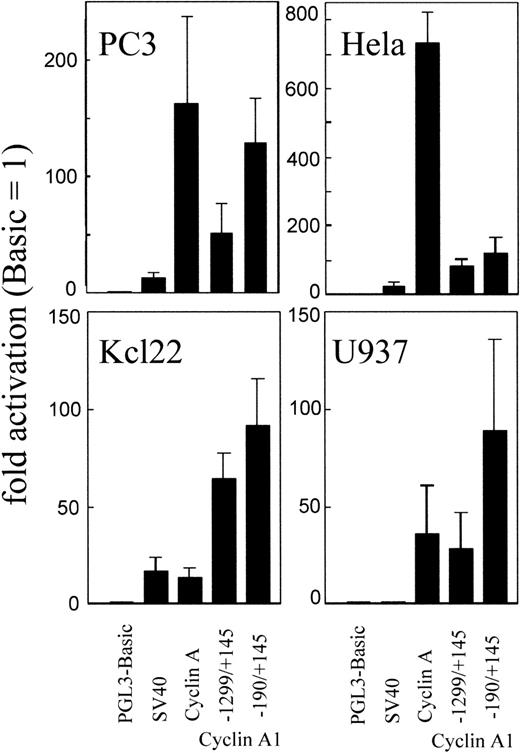 Fig. 2. Reporter gene expression of different promoters in cell lines from various tissues. Two fragments (1,444 and 335 bp) of the cyclin A1 promoter, a 452-bp fragment of the cyclin A promoter, and the enhancerless SV40 promoter were transfected into 4 cell lines derived from myeloid cells (U937 and KCL22) or from solid carcinomas (PC3 and HeLa). The cyclin A1 promoter is active in each cell line, and its activity is inversely related to that of the cyclin A promoter. All experiments were performed in duplicates and independently performed at least 3 times.