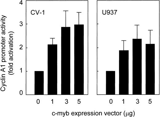 Fig. 5. Transactivation of the cyclin A1 promoter by c-myb. Different amounts of c-myb were coexpressed with a cyclin A1 promoter construct (335-bp fragment). Empty vector was used to reach the same total amount of DNA in all experiments. The mean and standard error for 3 independent experiments are shown.