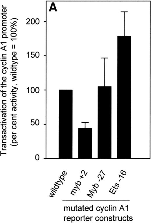 Fig. 7. Effect of point mutations on the activity of the cyclin A1 promoter. (A) After introducing mutations into potential transcription factor binding sites of the cyclin A1 promoter (335-bp fragment), luciferase constructs were transfected into KCL 22 cells that express high levels of c-myb (Fig 3). Bars represent the mean and SEM of at least 3 independent experiments. (B) The wild-type cyclin A1 reporter construct or the myb 1 site mutation of the cyclin A1 promoter was cotransfected with either c-myb or empty vector into CV-1 cells. These experiments were performed using the Dual Luciferase Assay system and the pRL-SV40 vector for standardization.