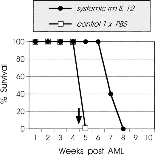 Fig. 1. Effect of systemic administration of rmIL-12 on leukemia growth. SJL mice (8 to 10 mice/group) were injected IV (tail vein) with live 105 AML cells on day 0. rmIL-12 was administered SC (2.5 μg/injection) on days 0 through 4, 14 through 18, and 28 through 32 (•). Control mice (□) received injections with PBS. A solid arrow indicates the time of spleen histology and FACScan analysis. This graph is representative of 4 independent experiments.